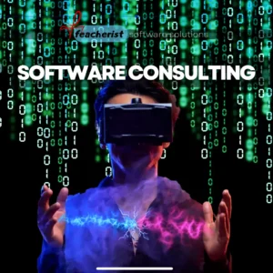 Software Consulting Service